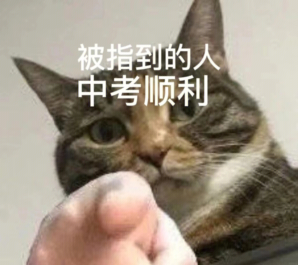 中考表情包搞笑图片