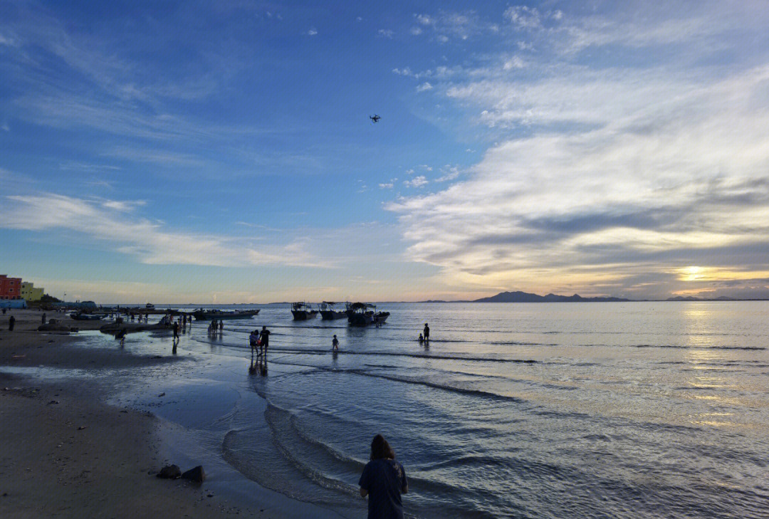 陆丰金厢滩花海图片