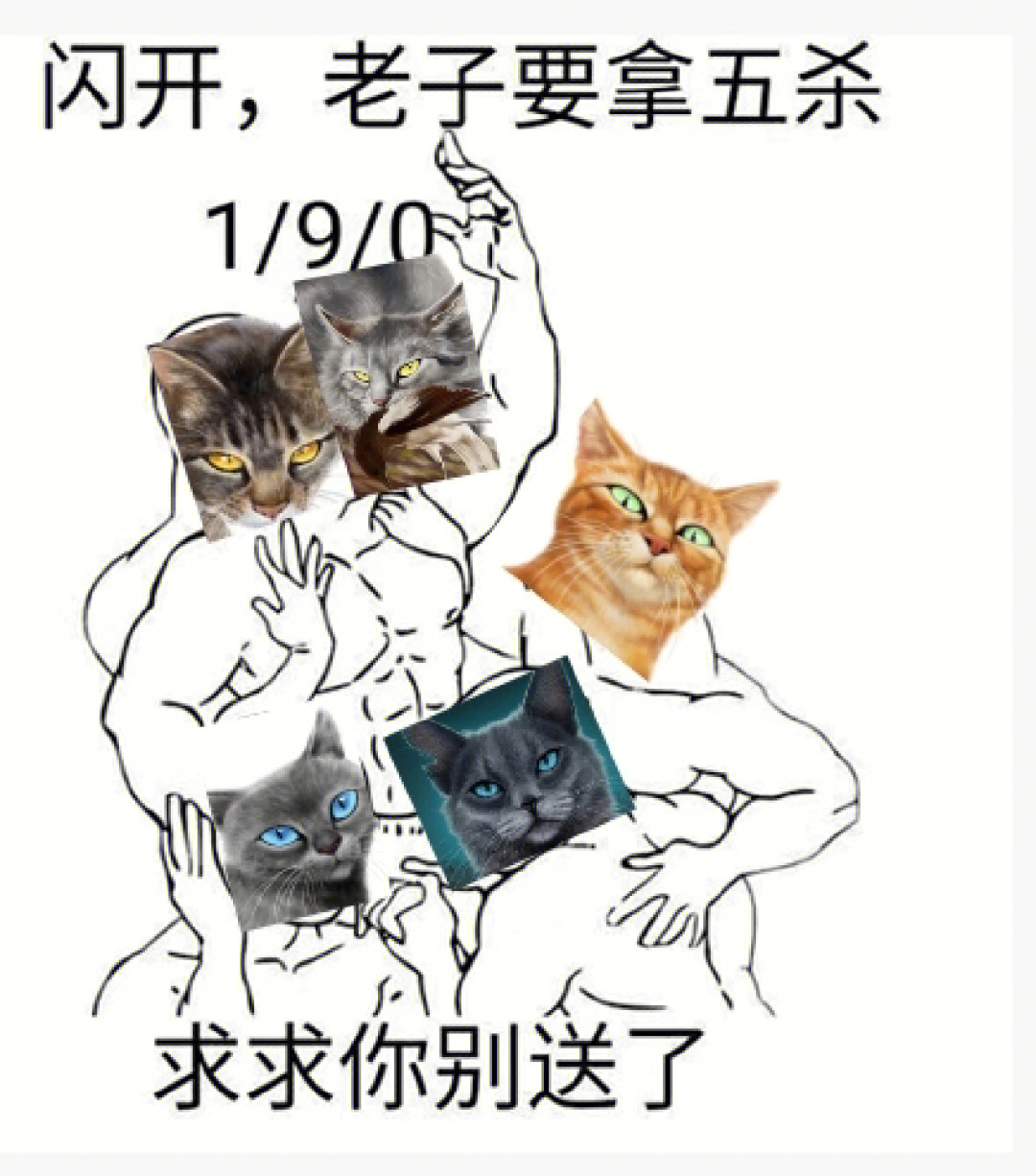 猫武士手抄报图片