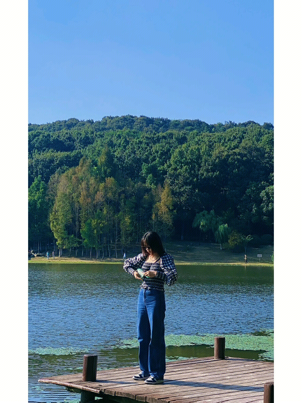 袁飞琵琶湖图片
