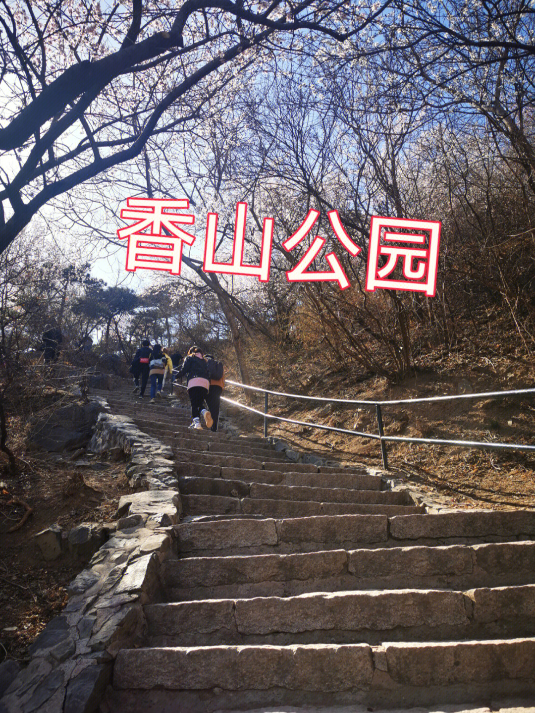 香山公园北京开春爬山首选