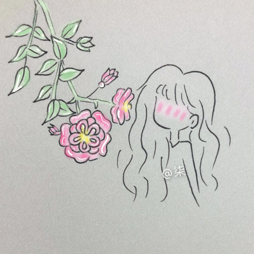 蔷薇的简笔画 简单图片