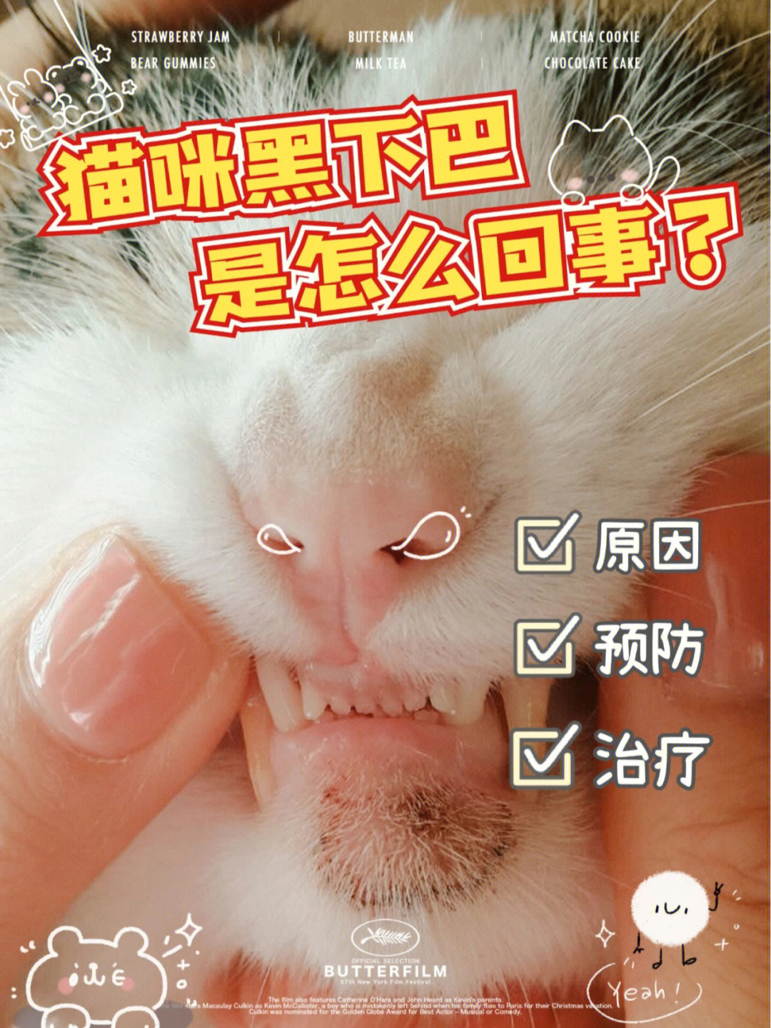 猫咪黑下巴怎么治图片