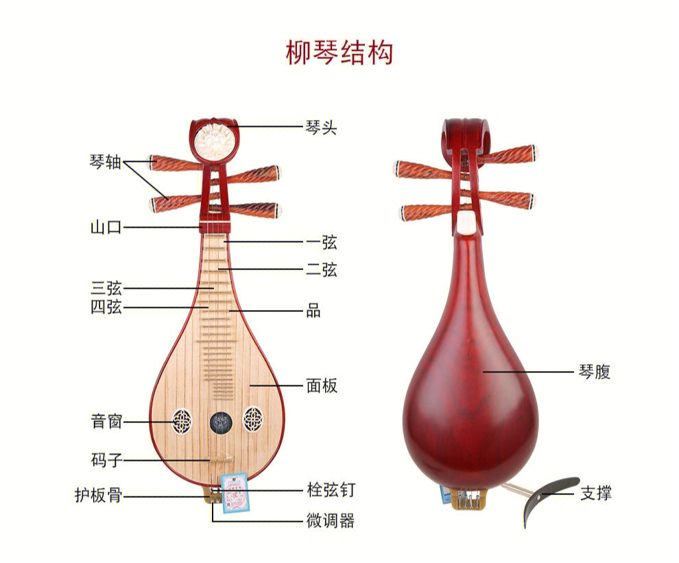 柳琴和琵琶有什么不同图片