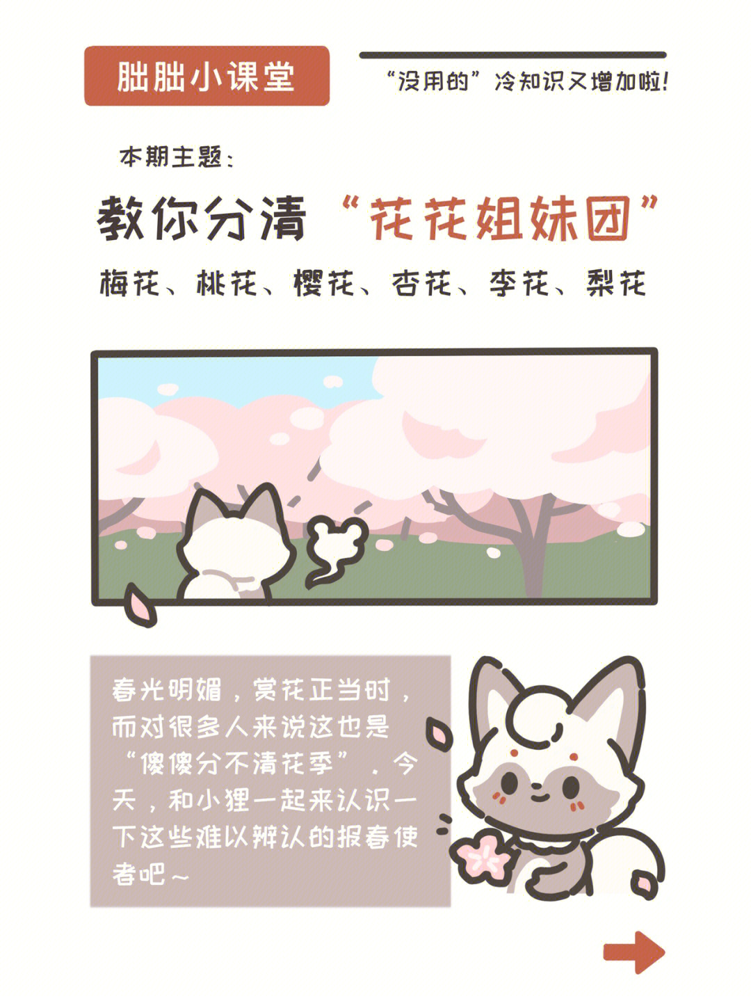 漫画科普桃花樱花傻傻分不清