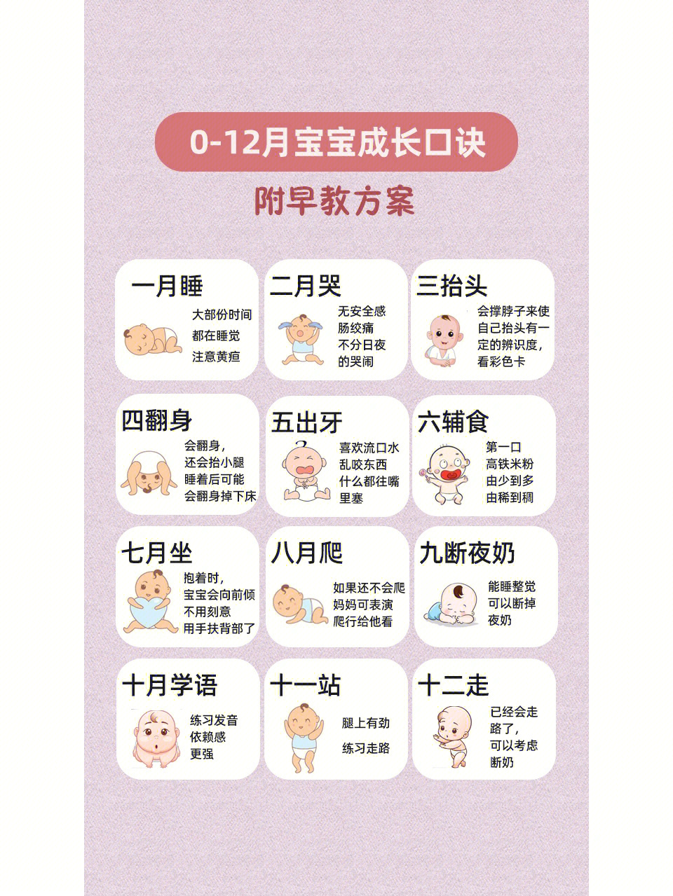 婴儿成长表1一12个月图片