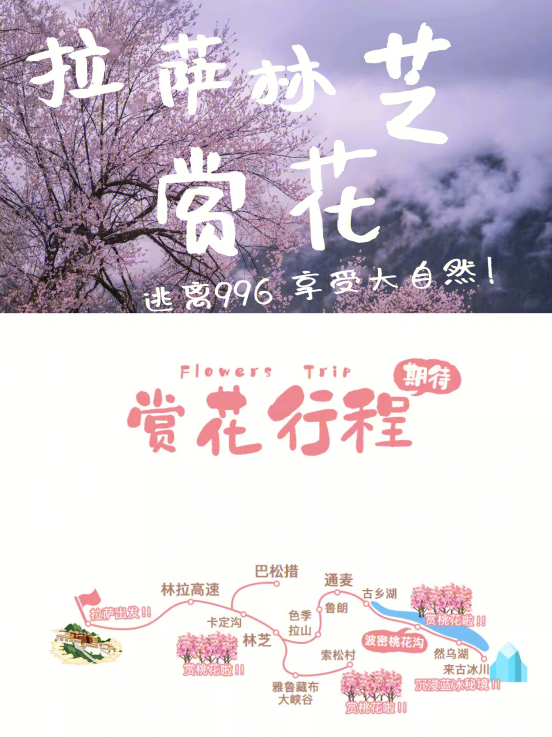 林芝2路公交车路线图图片