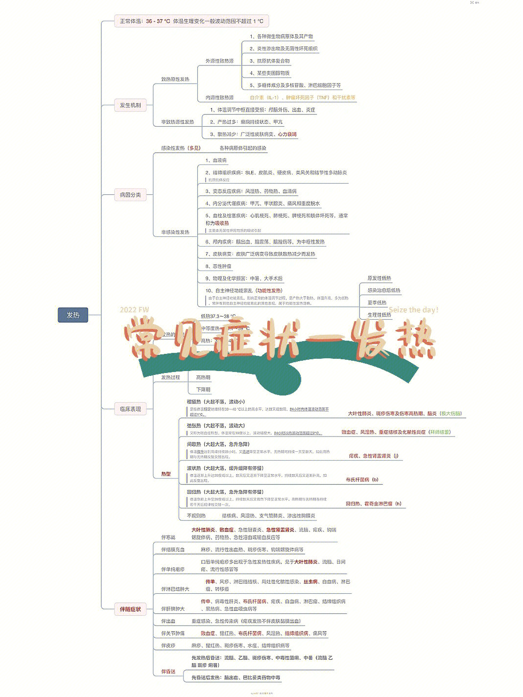 实验诊断学思维导图图片