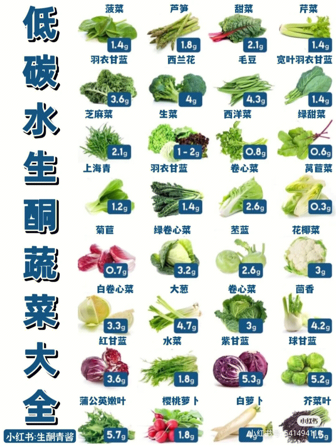 青菜的种类 品种图片