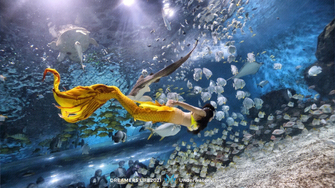 人鱼×人类水族馆图片