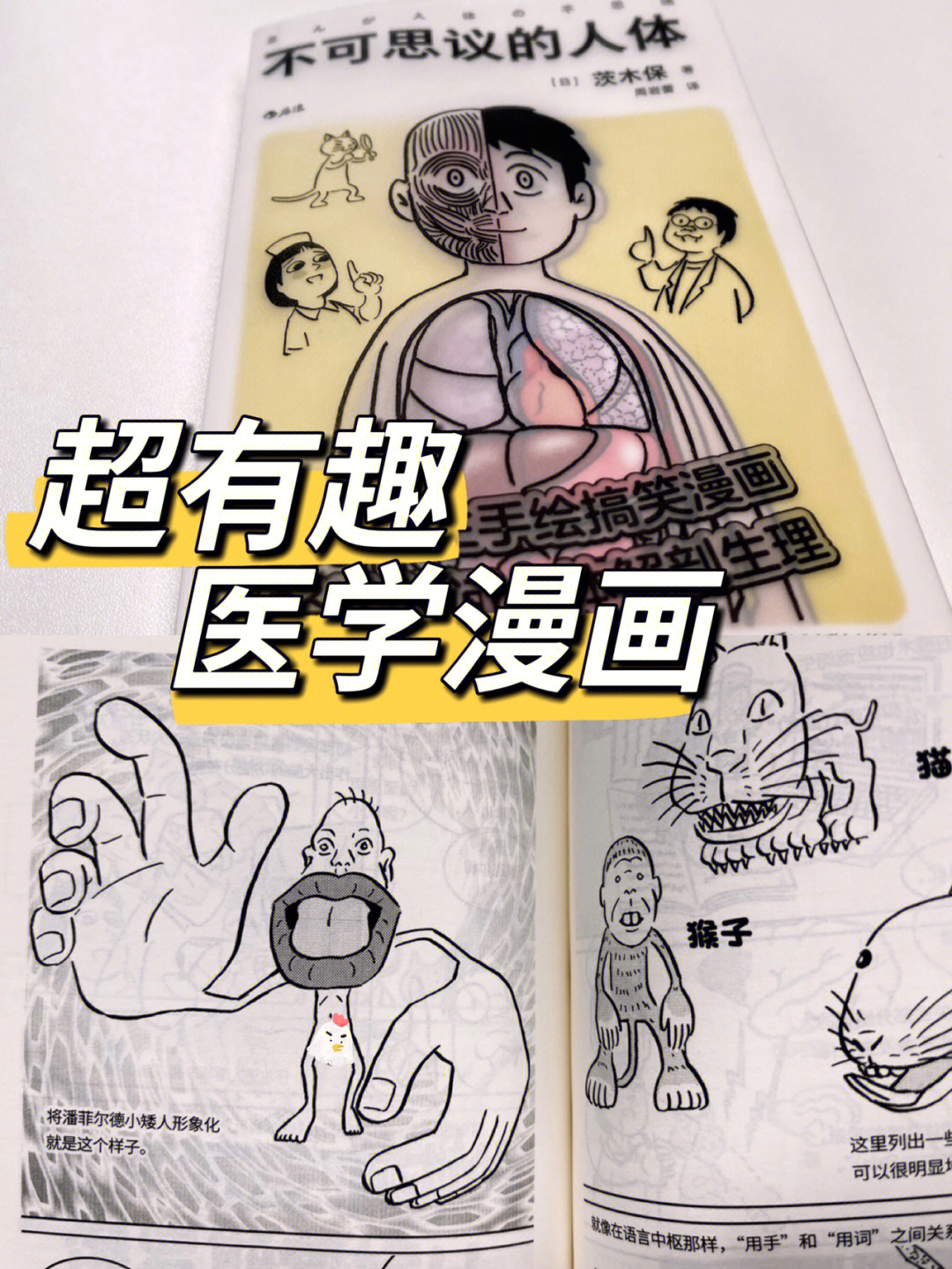 超有趣的医学漫画不可思议的人体