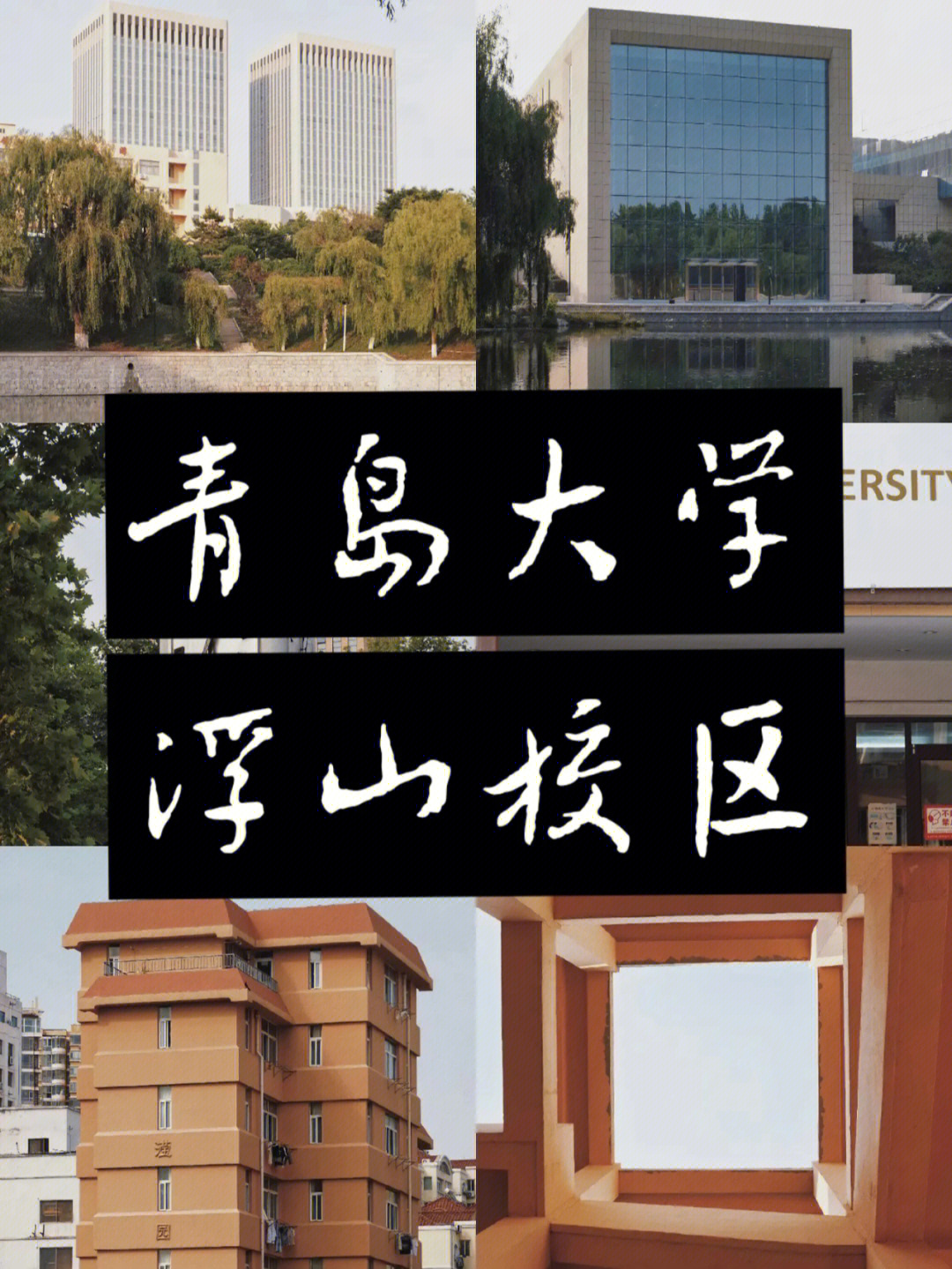 青岛大学浮山图片