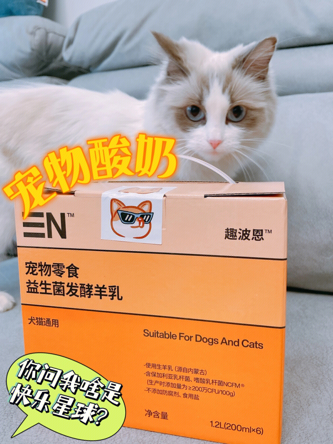 酸奶猫香烟图片