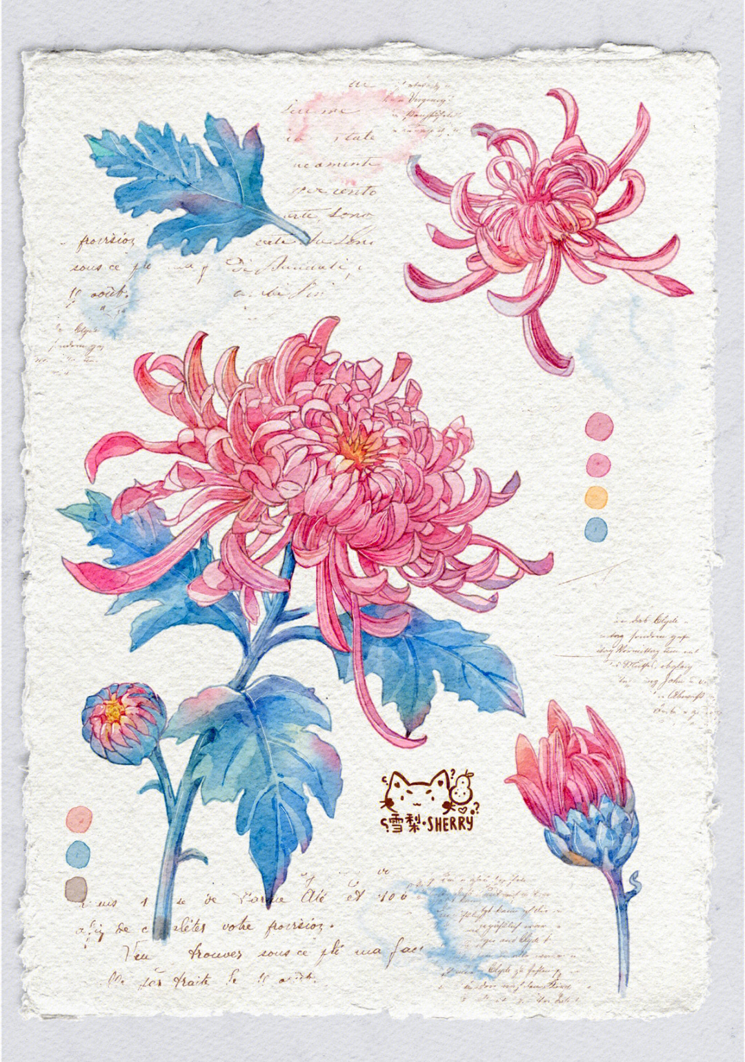 菊花的水彩画步骤图片图片