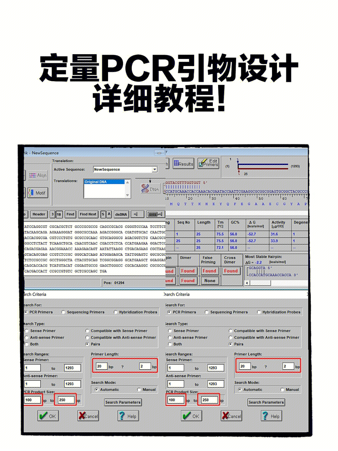 定量pcr引物设计详细教程