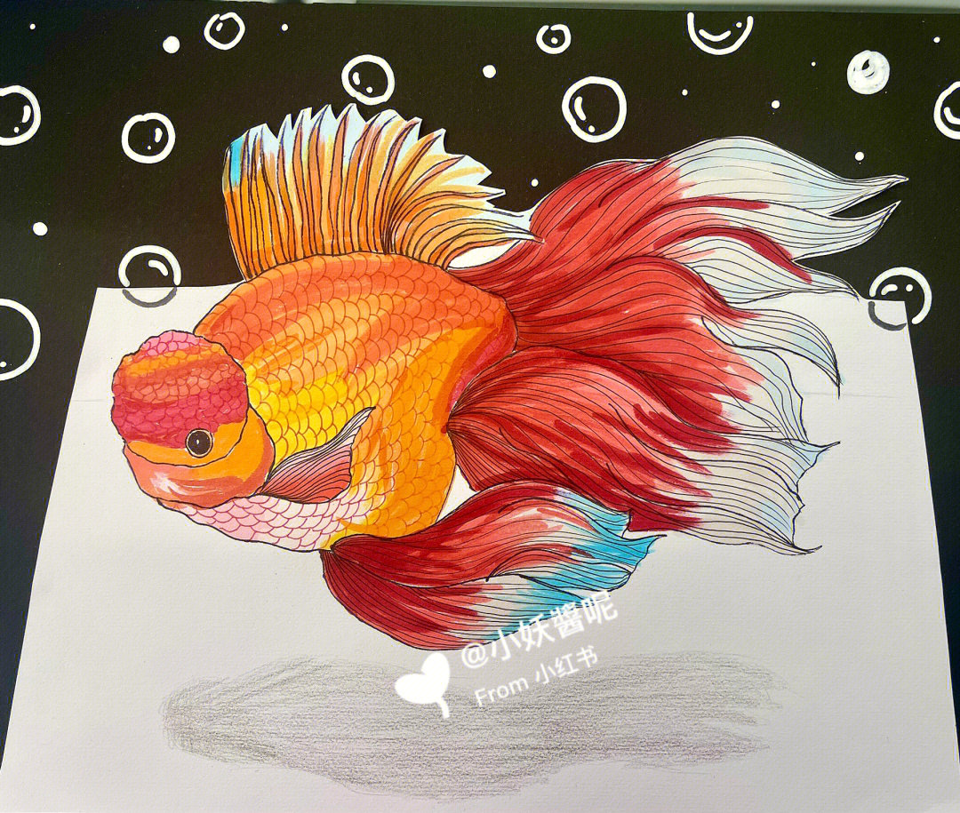 马克笔渐变色的学习2,金鱼形体的表现方法3,装饰线描的方法画金鱼