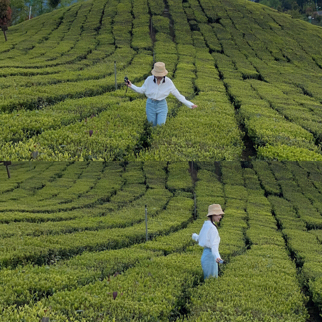 贵阳茶园穿搭分享