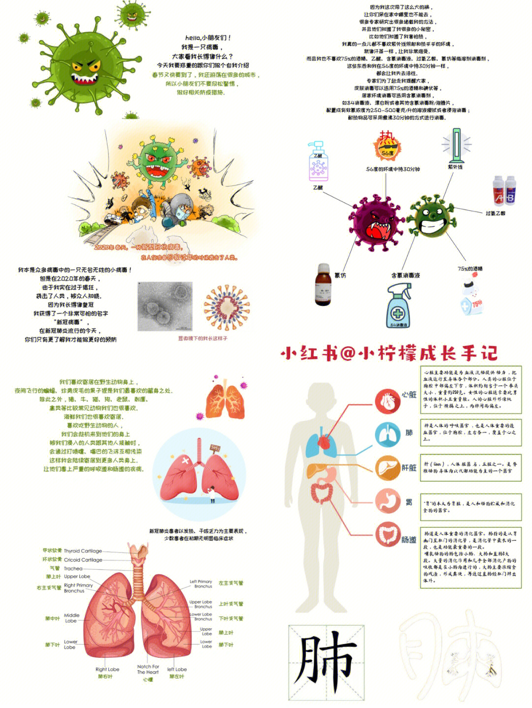 新冠病毒科普微童话图片