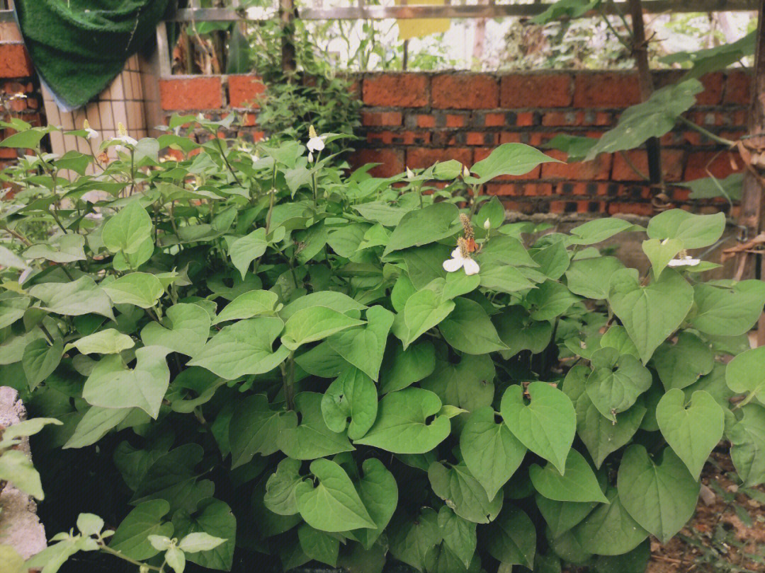 唤醒平静悠闲心灵的小天地