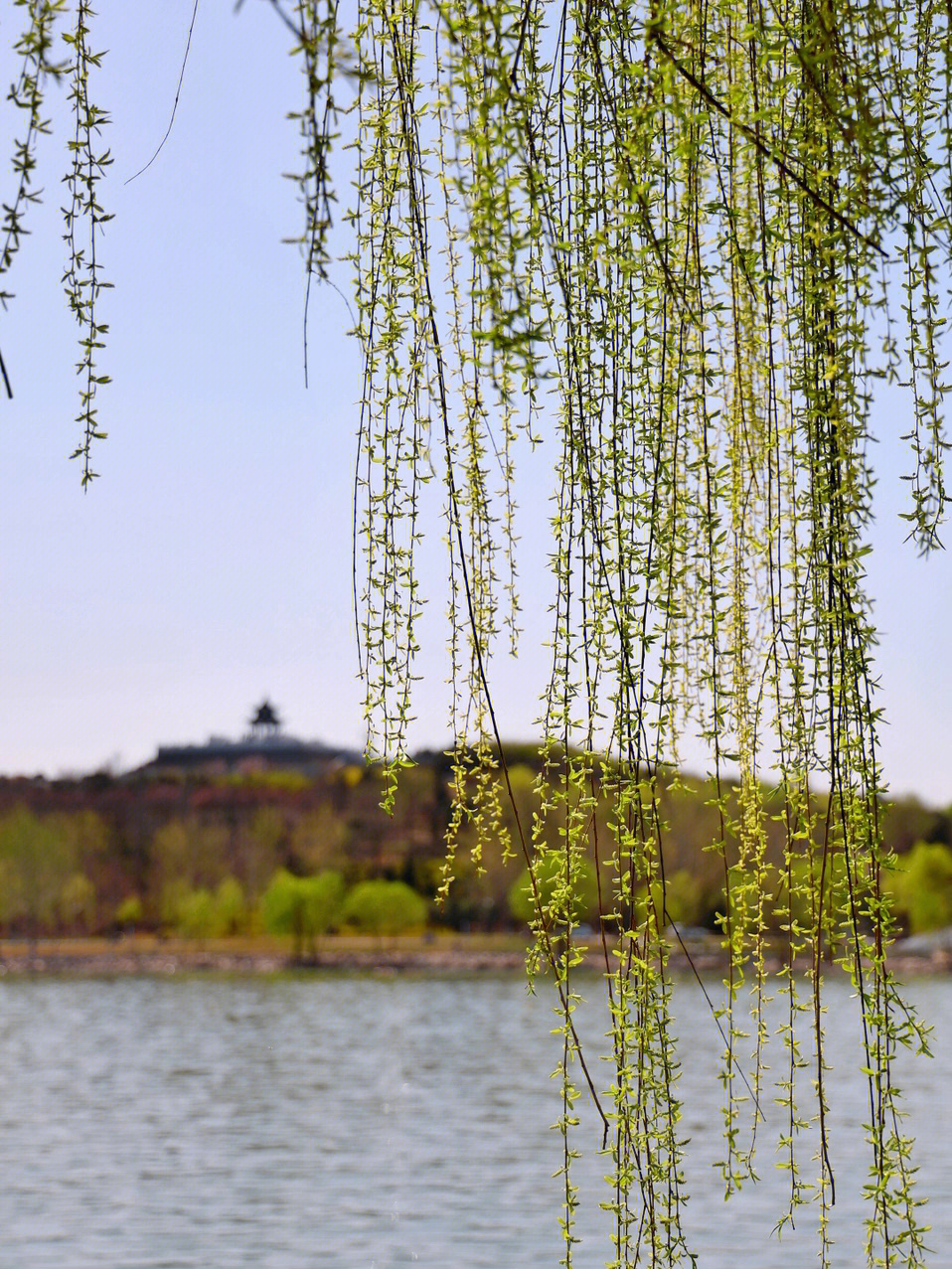 春和景明波澜不惊图片