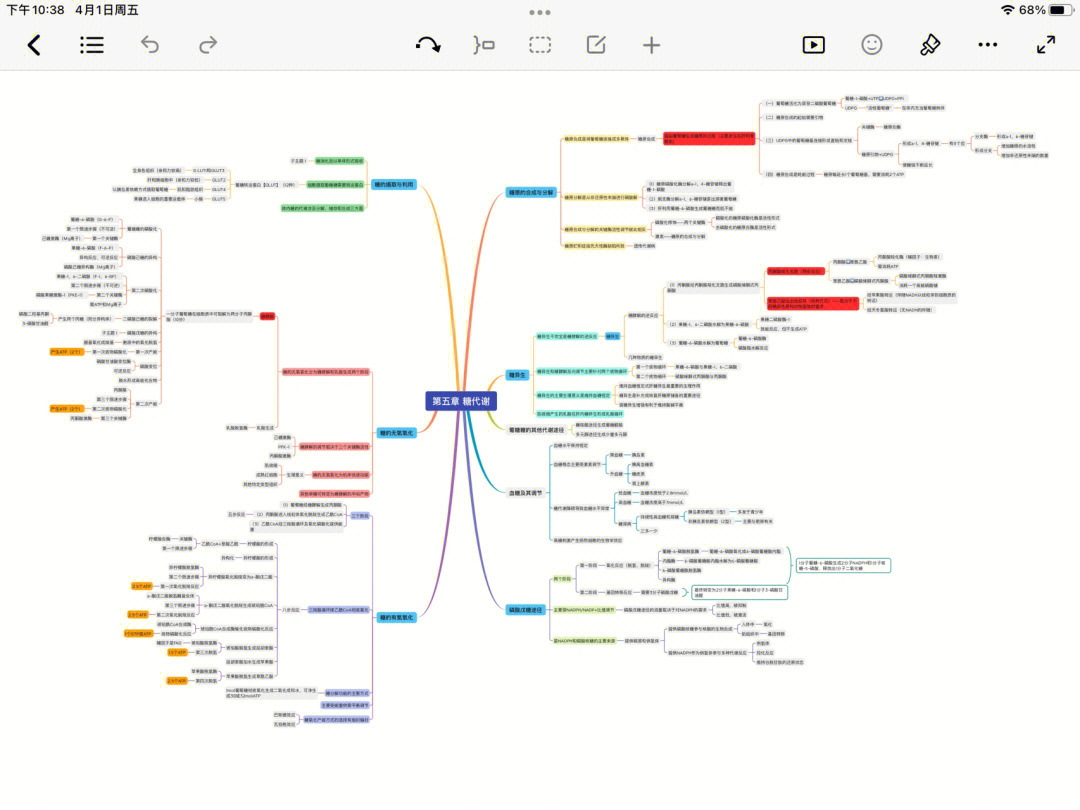 糖代谢思维导图手写图片