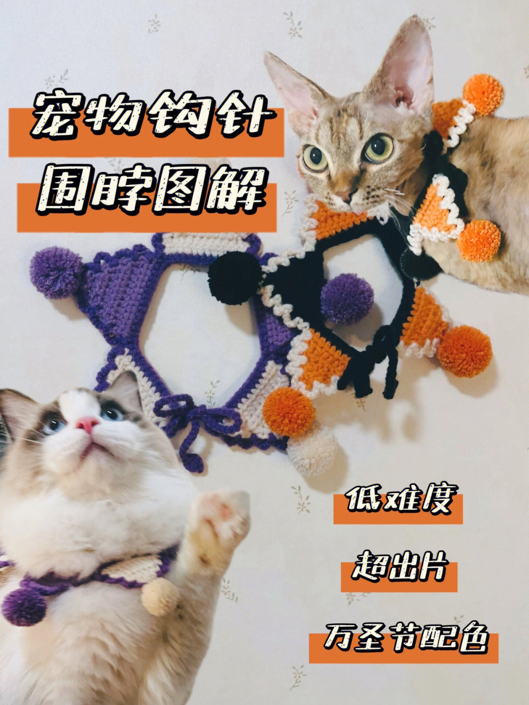 钩针猫咪小花围脖教程图片