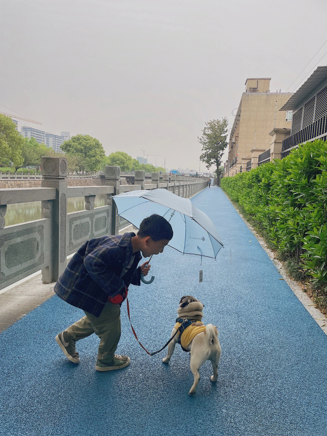 我哥这人能处下雨给我打伞