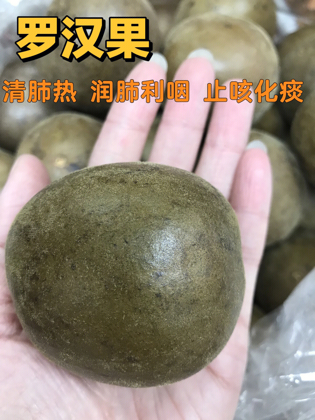 罗汉果止咳片广西方略图片