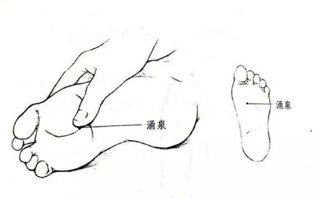 人体八大救命的排毒口图片