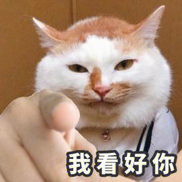 猫咪带手指头像图片