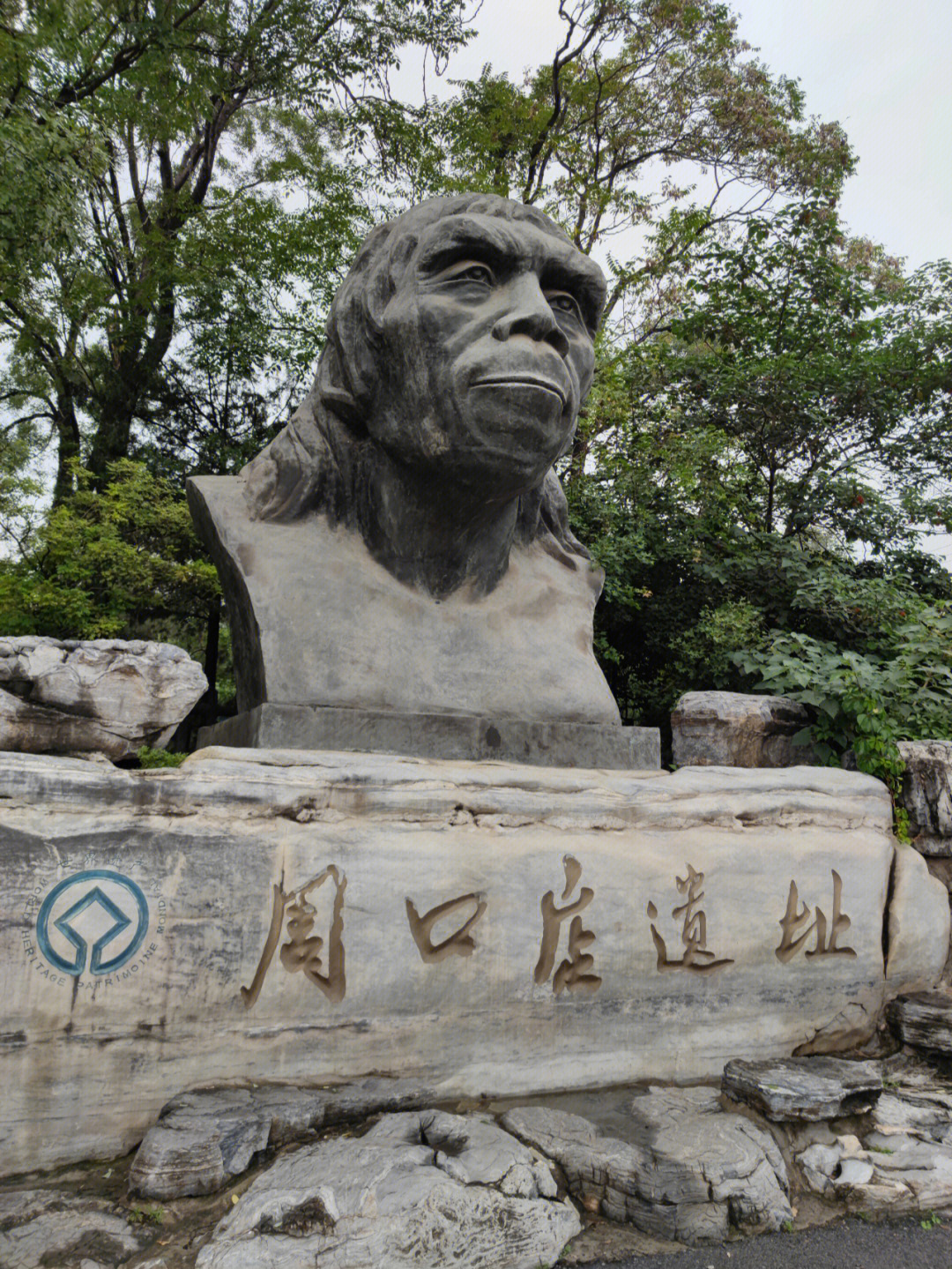 北京猿人遗址手抄报图片