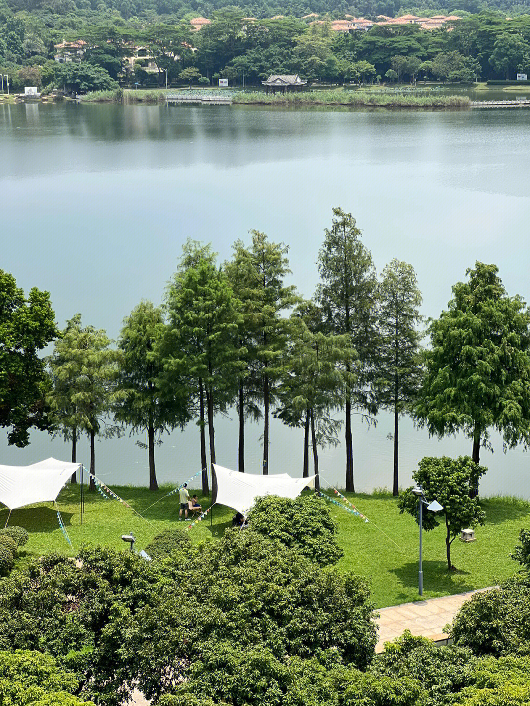 松山湖凯悦酒店电话图片
