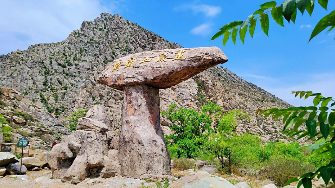 贺兰山岩画风景区简介图片