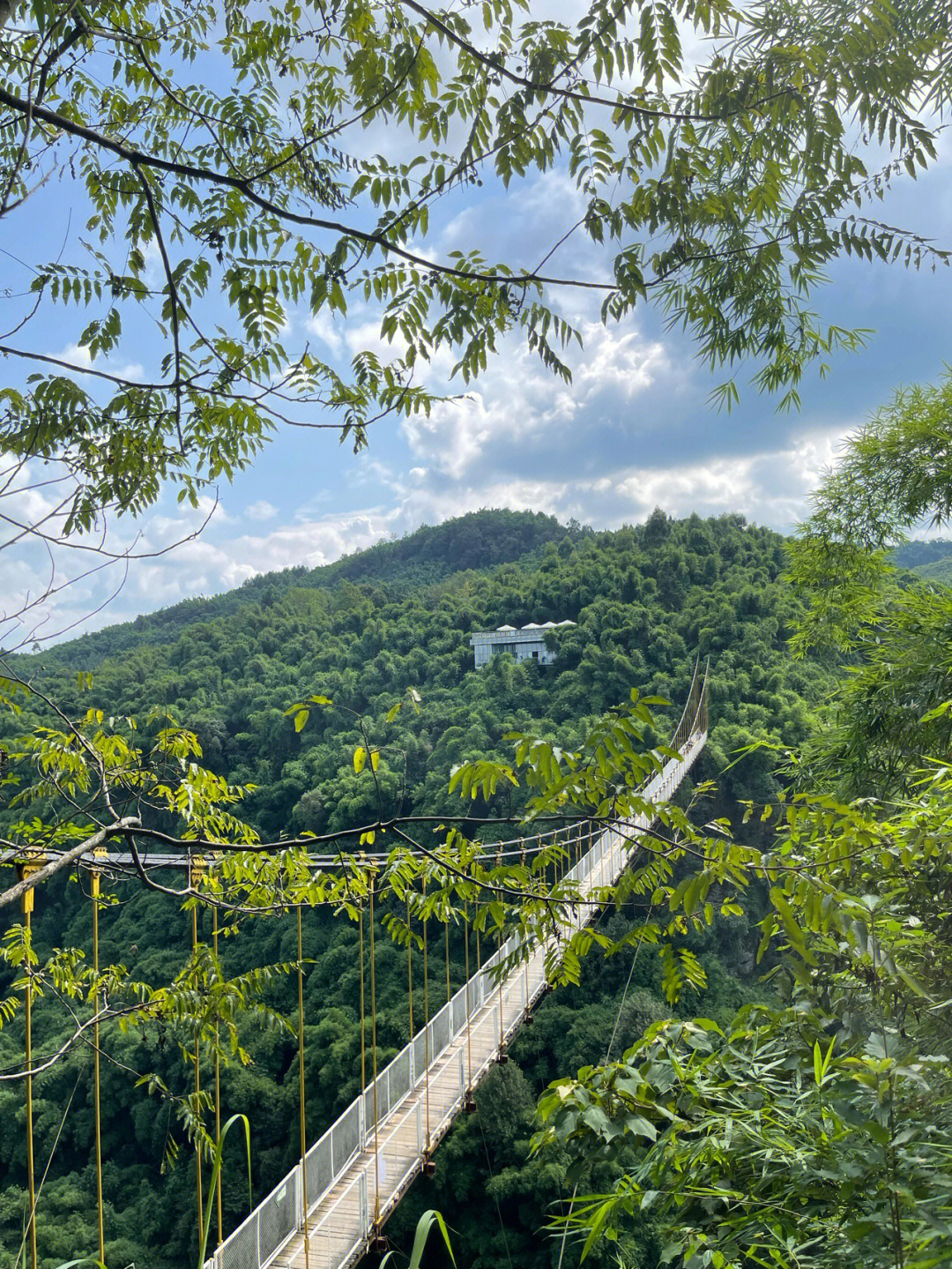 川西竹海简介图片