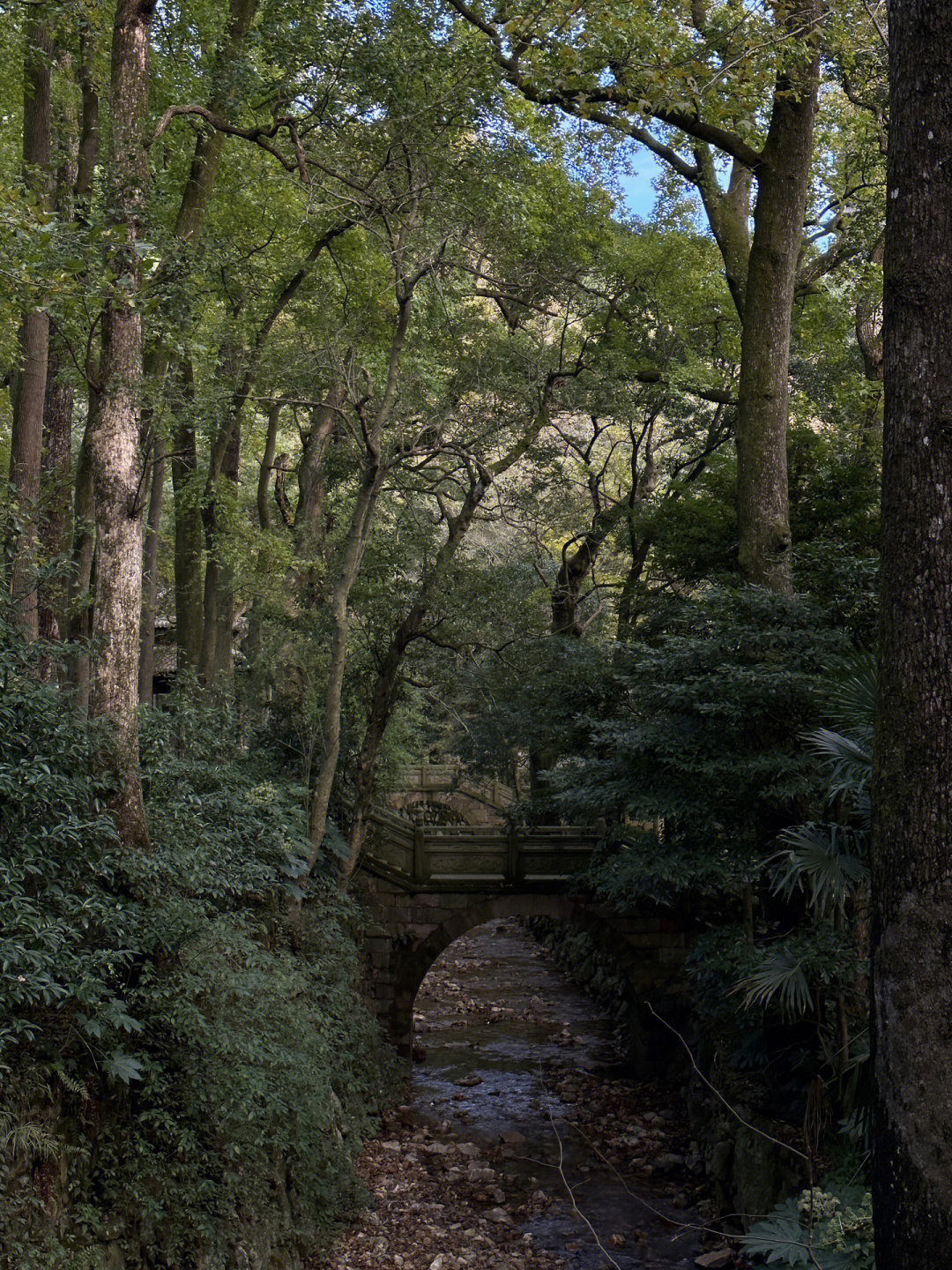 六枝九头山公园介绍图片