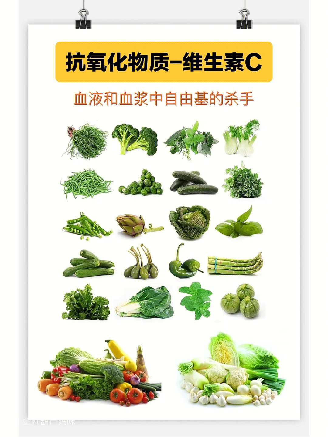 王涛博士基动牌营养素图片