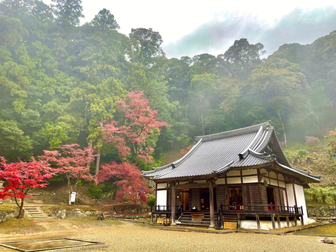 日本旅游奈良小众枫叶景点穿越1000年的美