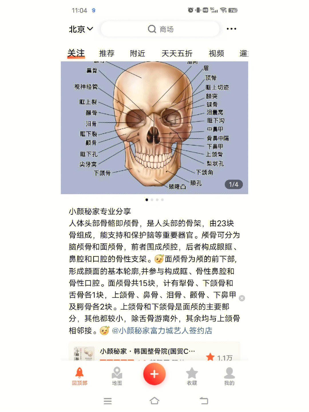 头部的构造图与功能图片