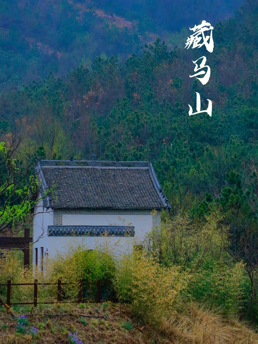 空山新雨后天气晚来秋一藏马山后山