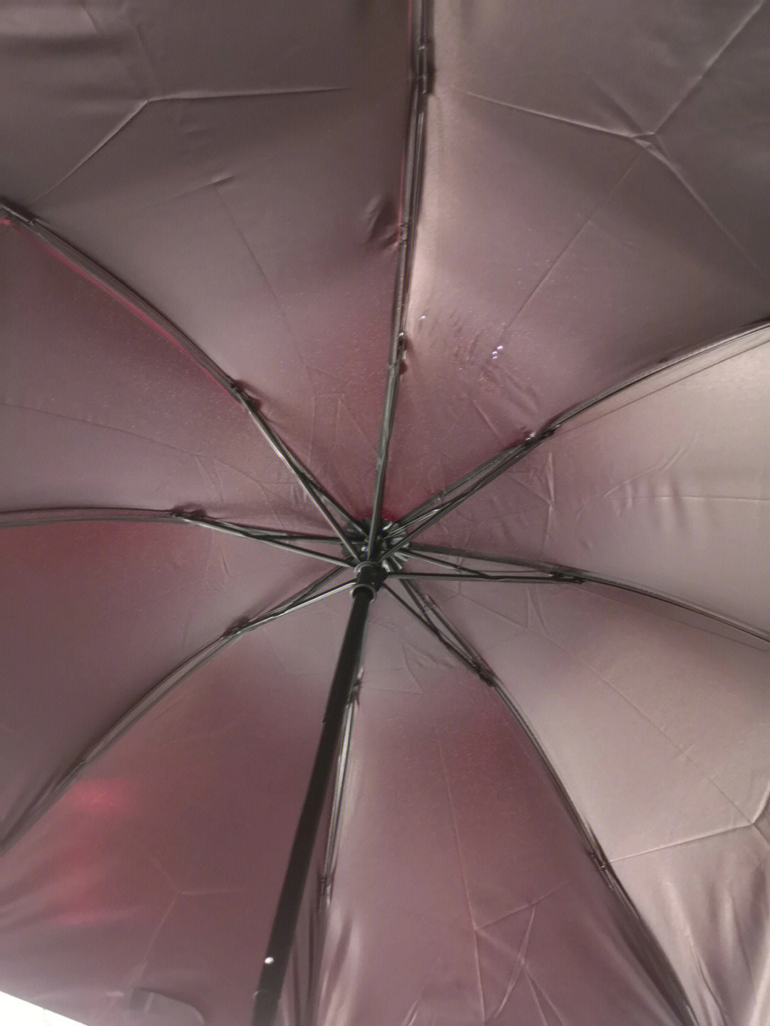 001元的雨伞都挺好就是有几个小洞洞