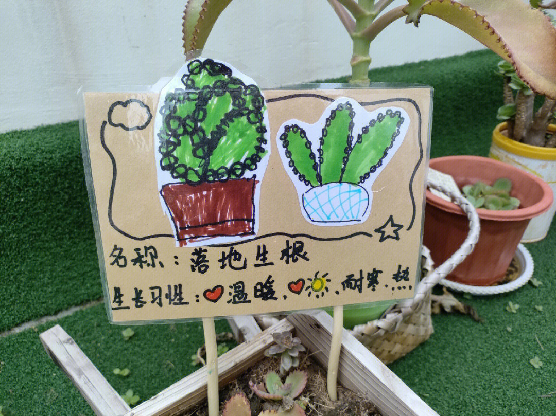 幼儿园植物园班牌制作图片