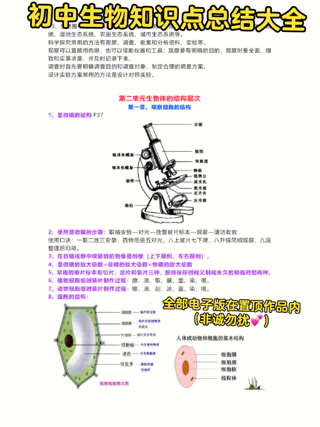 初中生物知识点