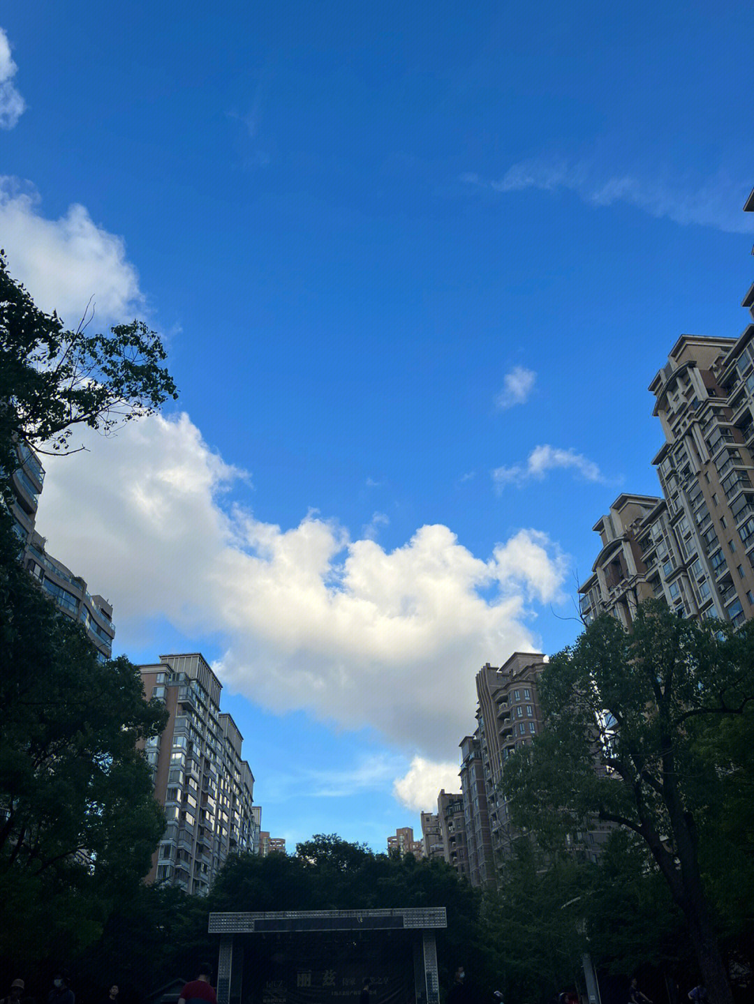 真喜欢上海最近的蓝天白云好天气