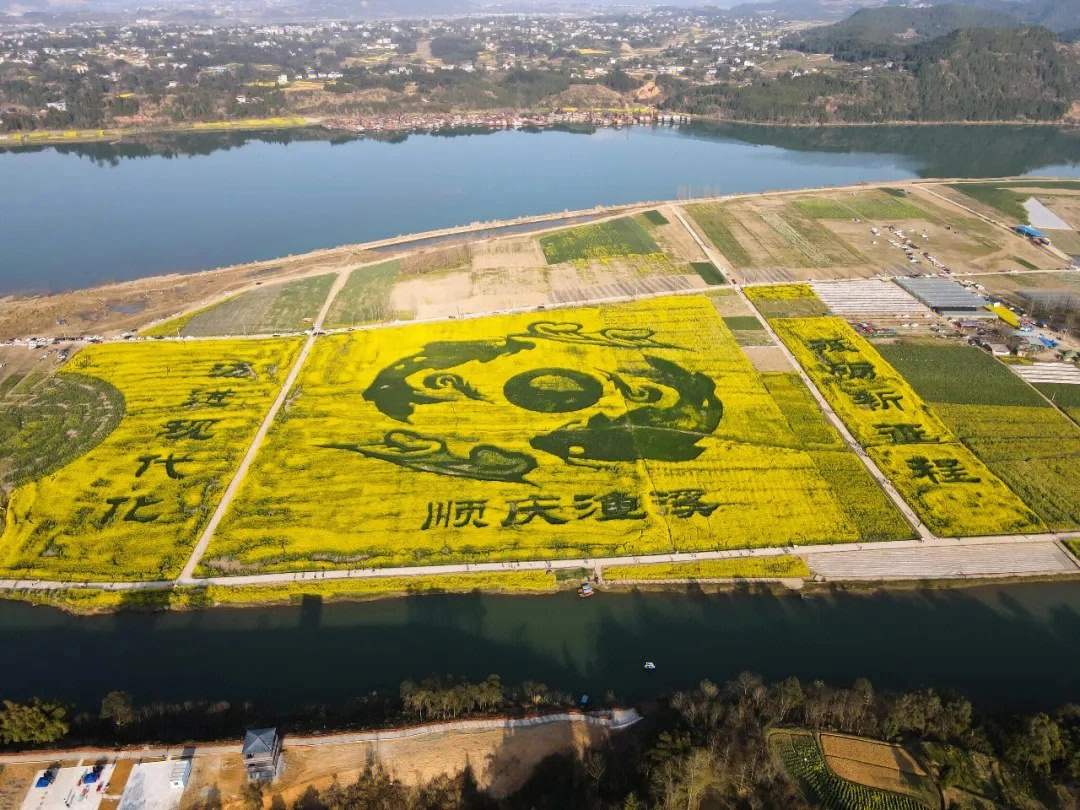 渔溪太古岛油菜花图片