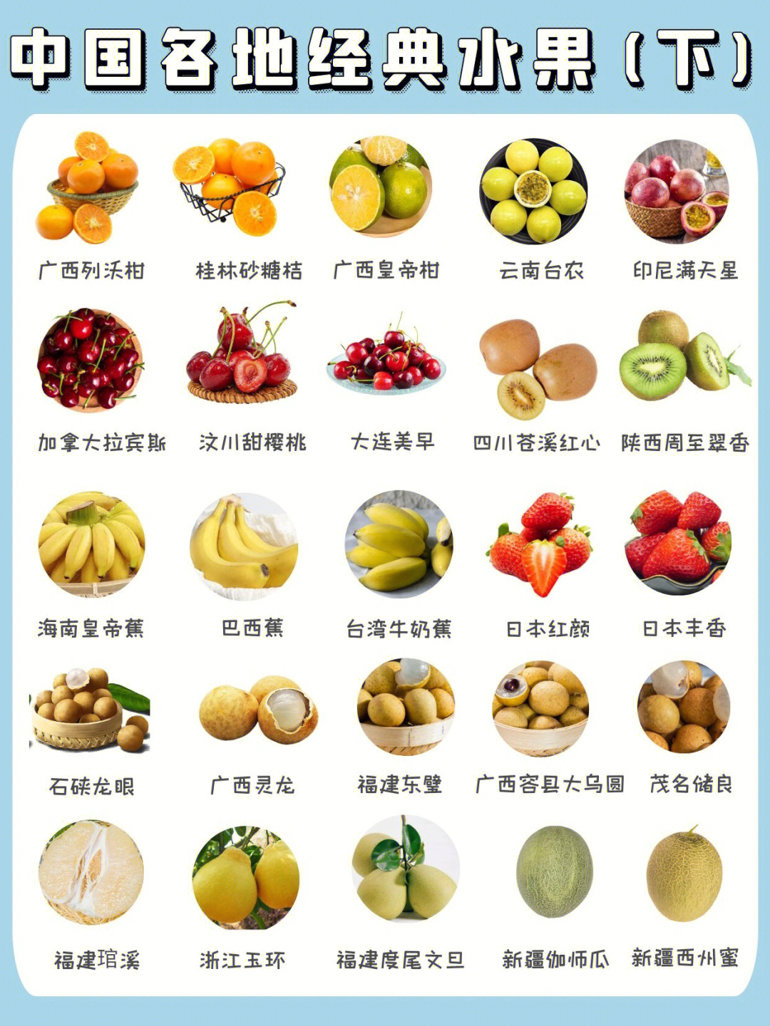 500种水果名称和图片图片
