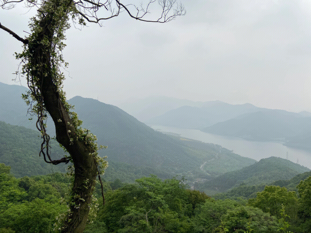 宁波徒步鄞州横溪松石岭古道