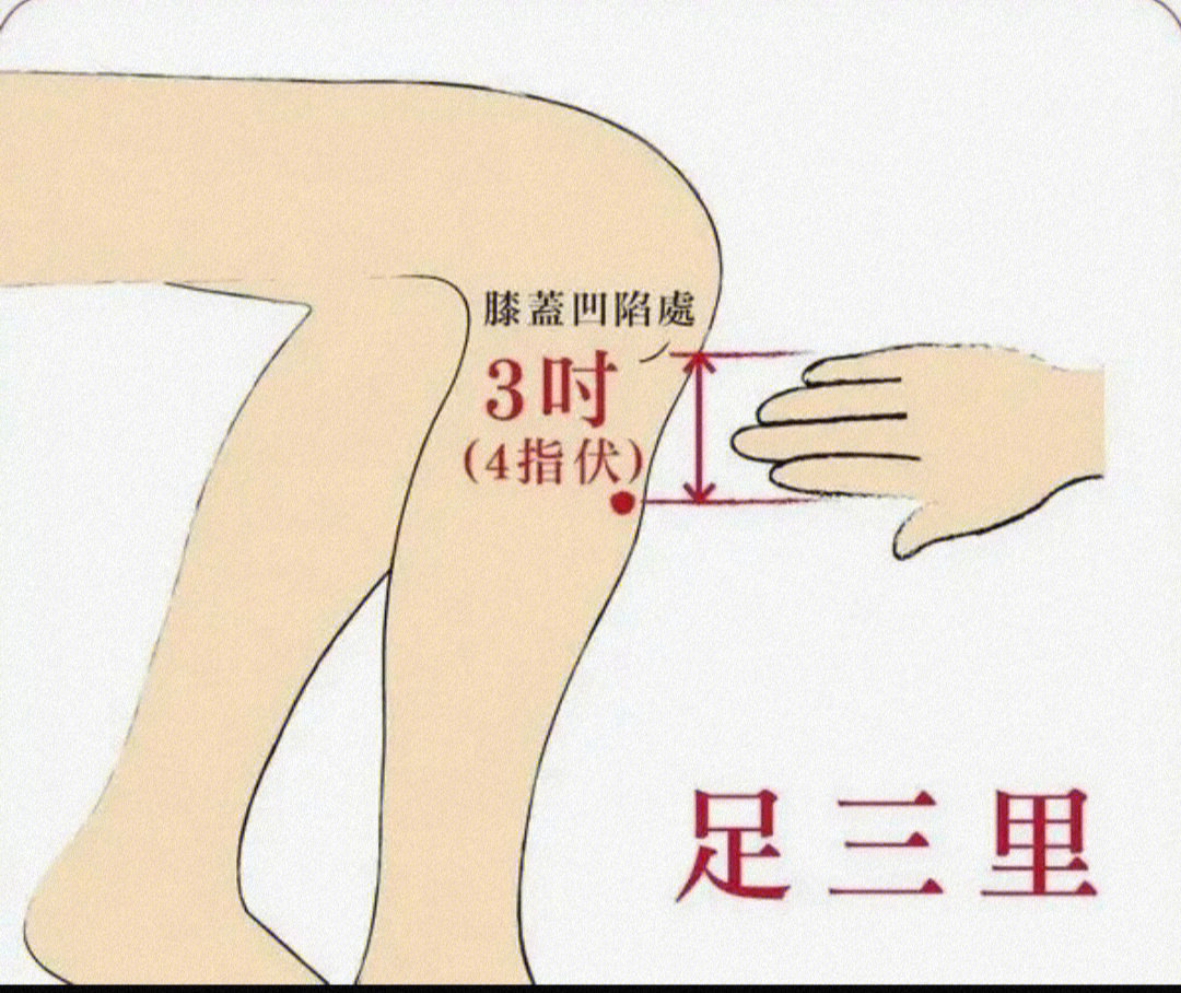 女性艾灸补肾的位置图图片