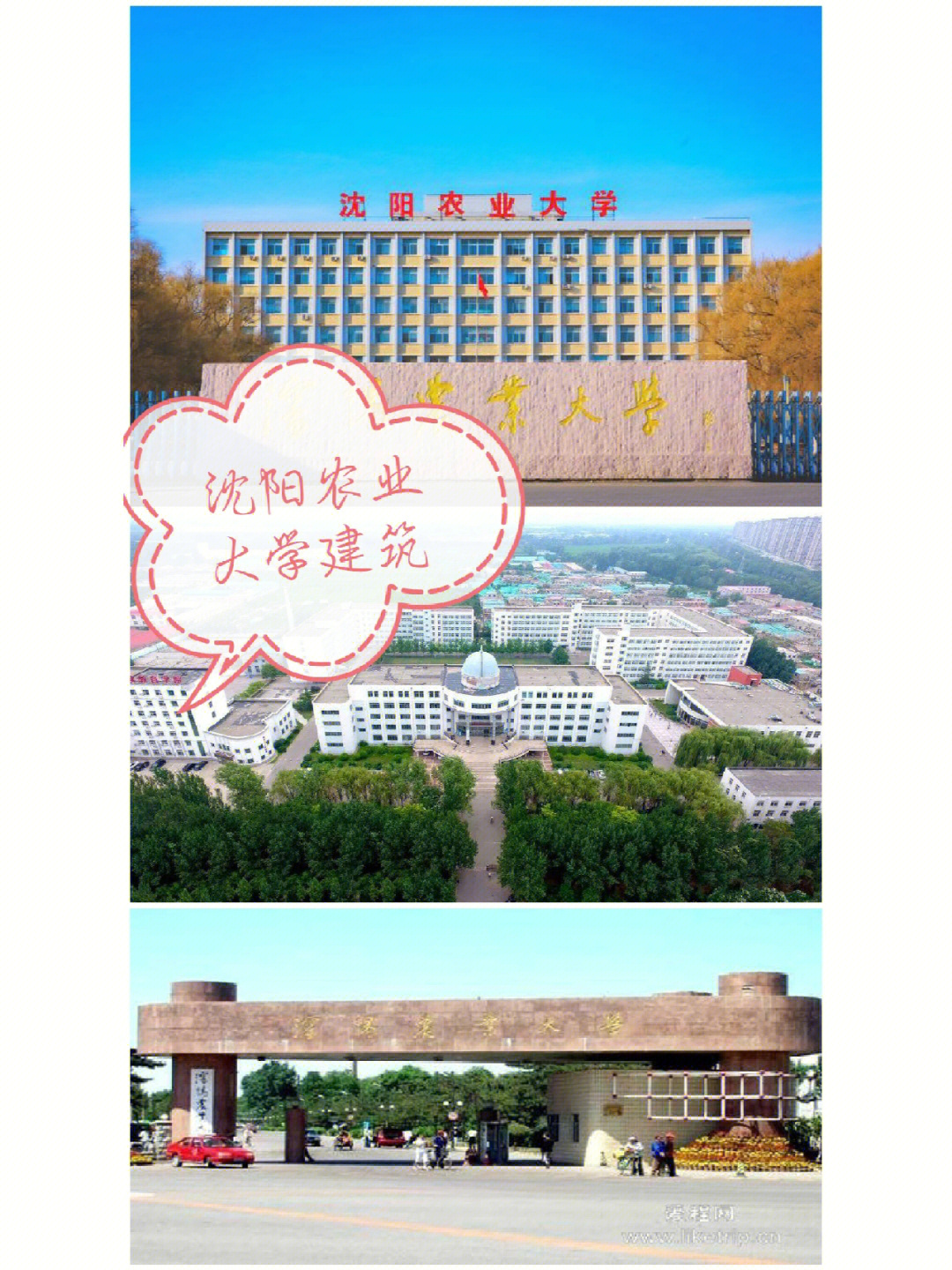 沈阳农业大学平面地图图片