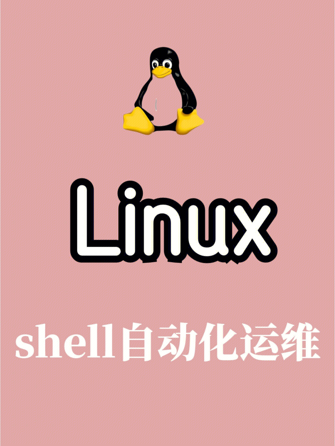 linuxshell图片