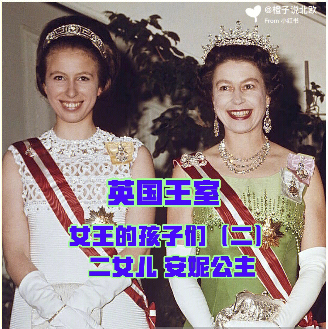 英女王的孩子们二女儿安妮公主